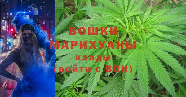 бутират Белокуриха