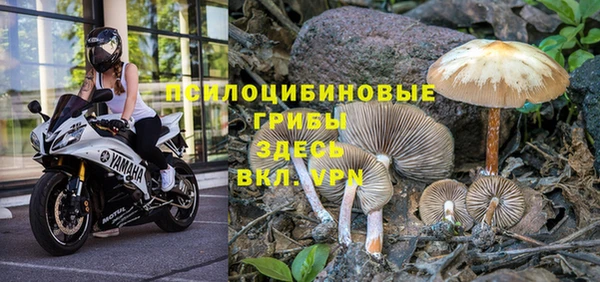 альфа пвп Беломорск