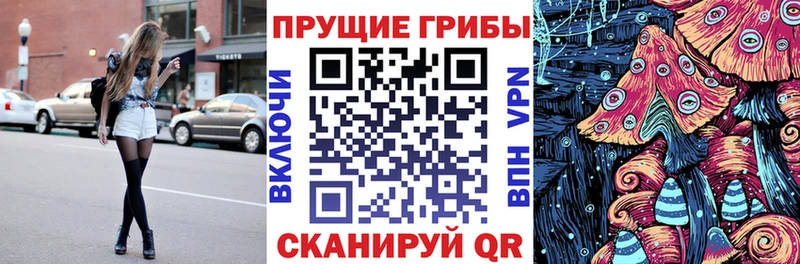 купить   Курильск  Галлюциногенные грибы прущие грибы 