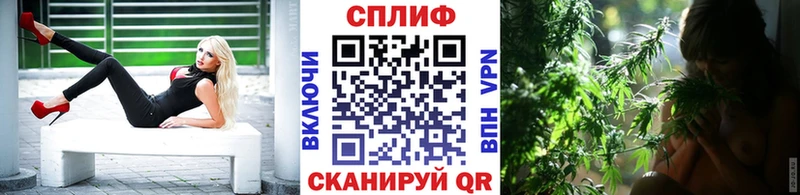 где купить наркотик Курильск Бошки марихуана марихуана
